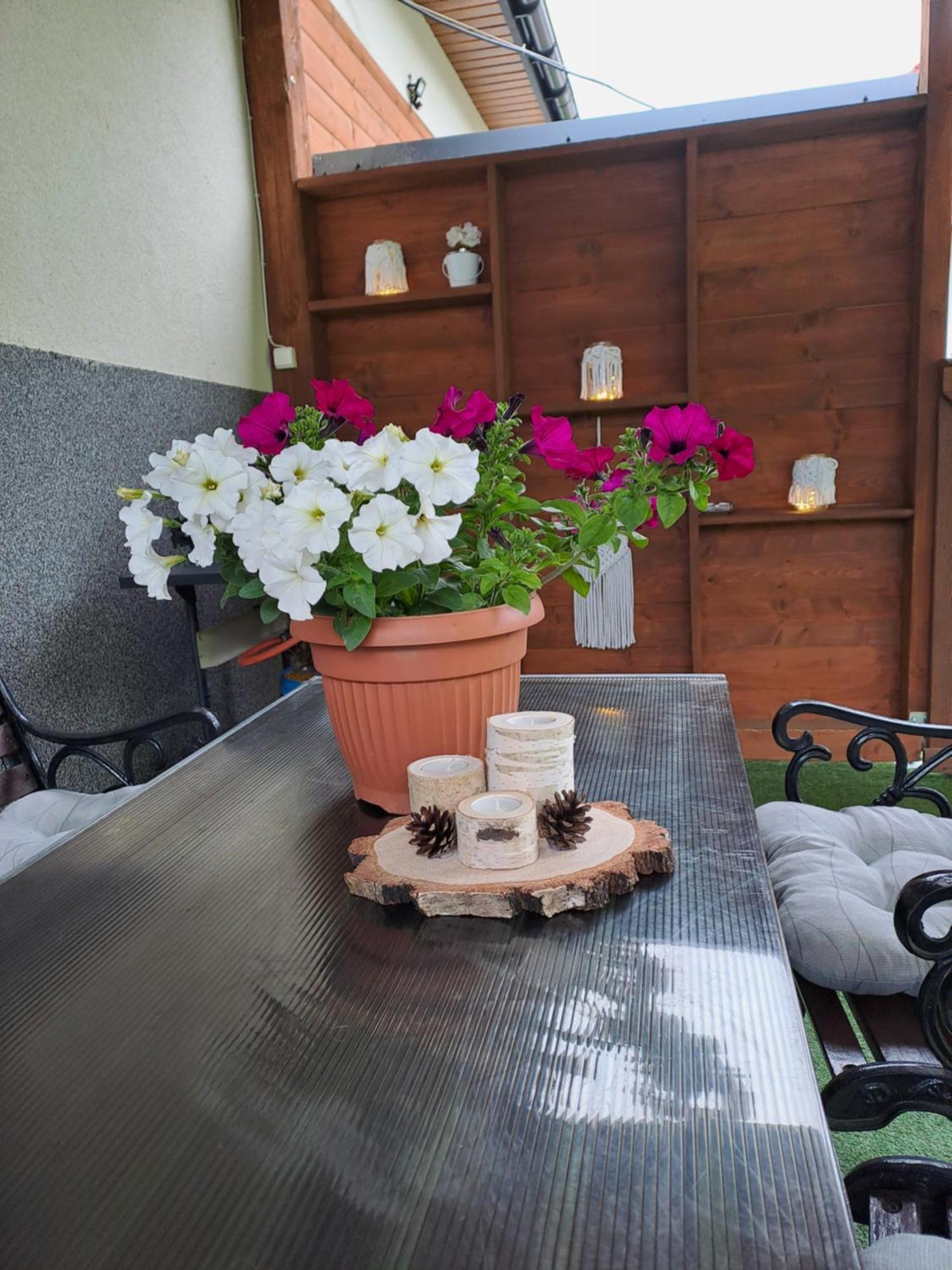 U Beaty, Niezalezne Mieszkania Do Wynajecia Ochotnica Gorna Ngoại thất bức ảnh